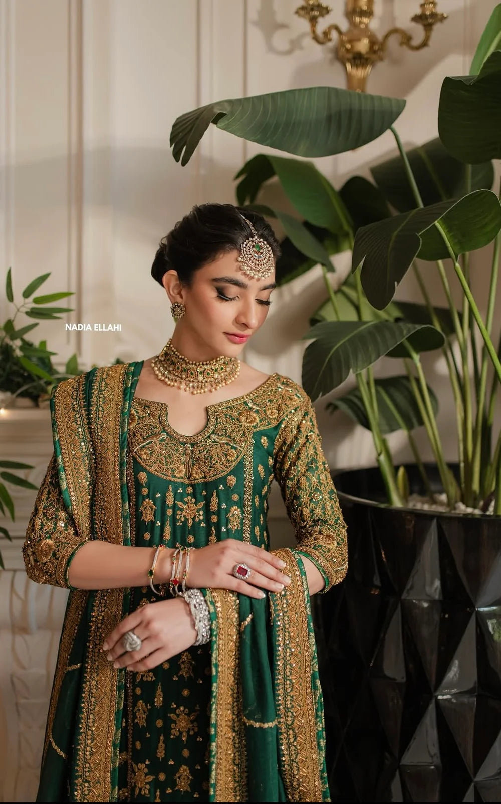 Nadia Ellahi - Mehrunissa